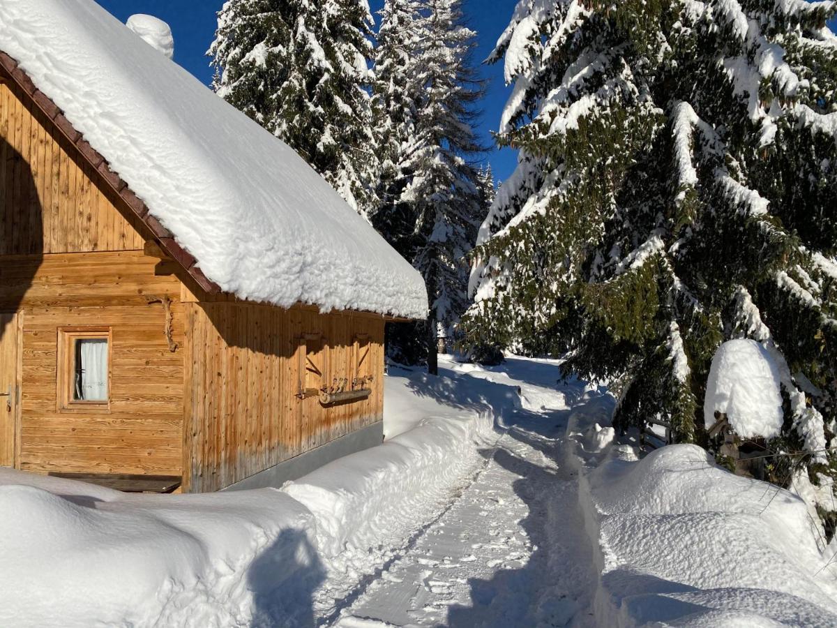 Chalet Ivi Villa Zgornje Gorje Екстериор снимка