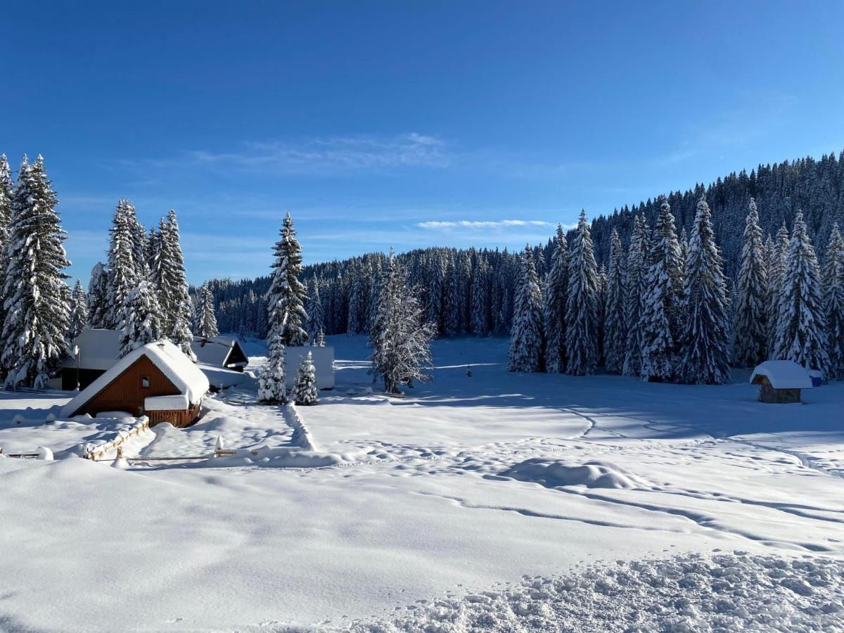 Chalet Ivi Villa Zgornje Gorje Екстериор снимка